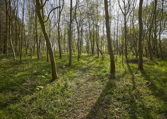 Prázdninový dům 2 Bed In Wigton Oc-sz396 *